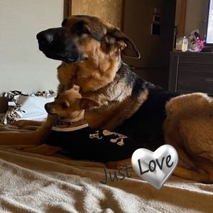 Meet your Posher, Richard